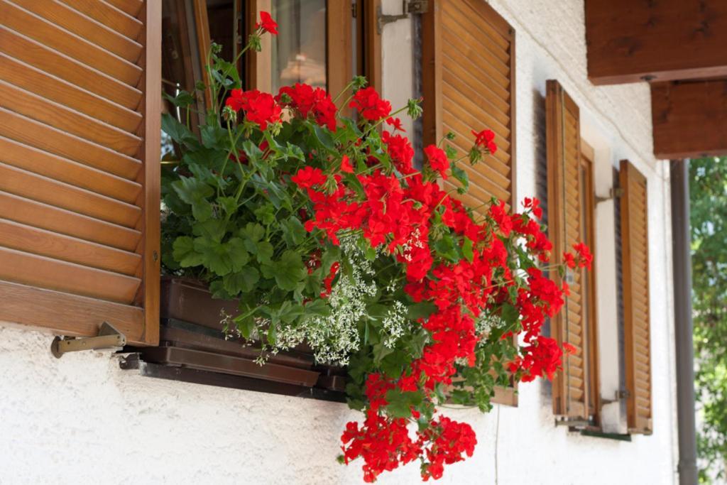Haus Wendelin Apartamento Fulpmes Exterior foto